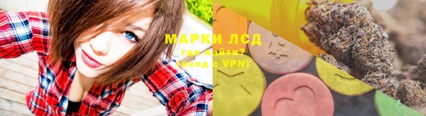 прущие крисы Сосновый Бор