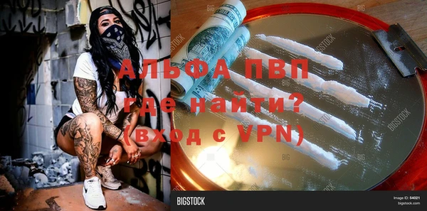 сатива Сосновоборск