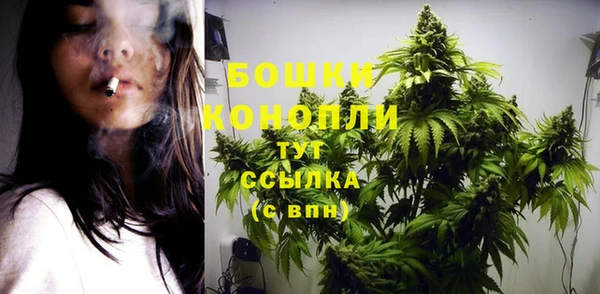 PSILOCYBIN Михайловка