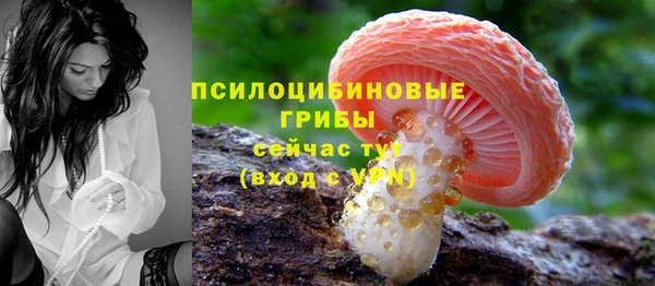 бошки Верхнеуральск