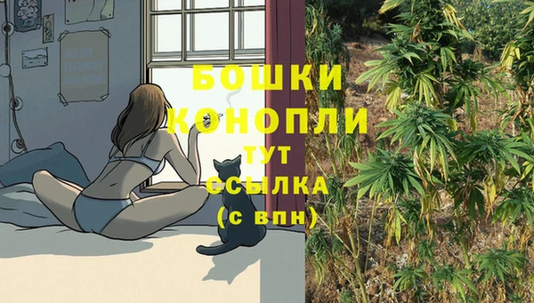прущий лед Верхний Тагил
