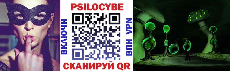 как найти   Вытегра  Псилоцибиновые грибы Magic Shrooms 