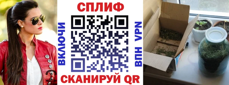 где продают наркотики  Вытегра  Марихуана THC 21% 